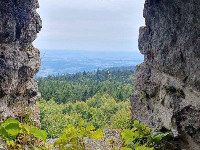 I_Laff_Alloa_An_Hirschenstoa_08_09_2024_28
