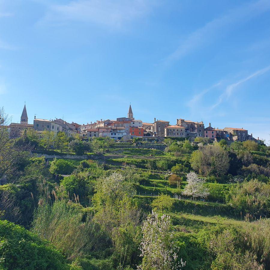 10_Istria_100_69k_Markus_06_04_2024_46