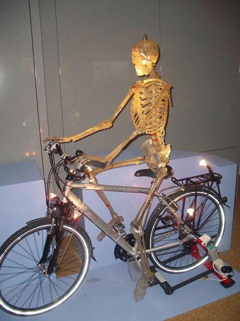 Radfahrer der Zukunft ......