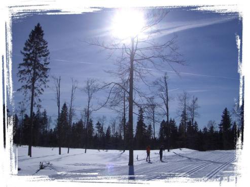 Herrliche Winterlandschaft